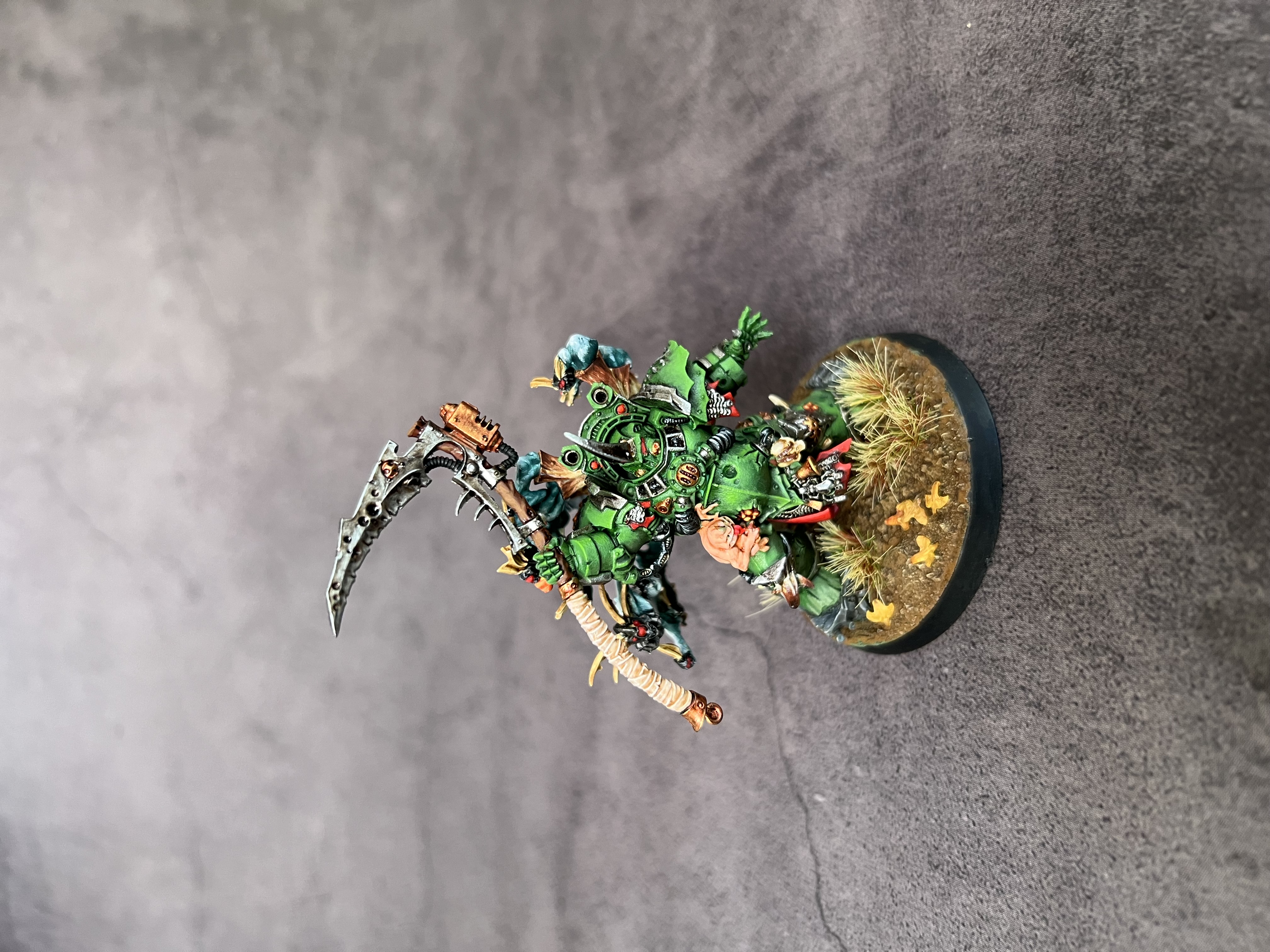Typhus - Image 2