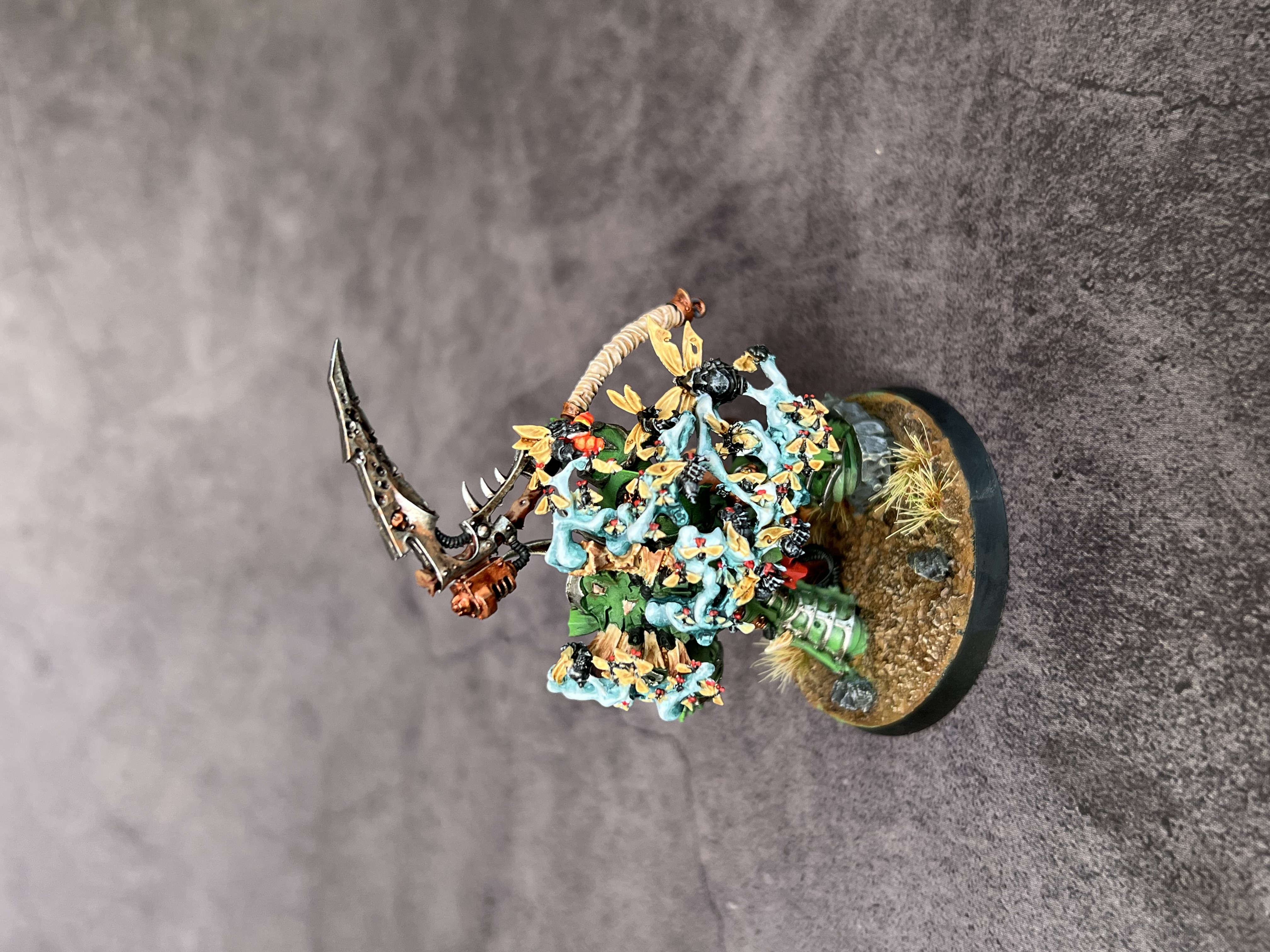 Typhus - Image 7
