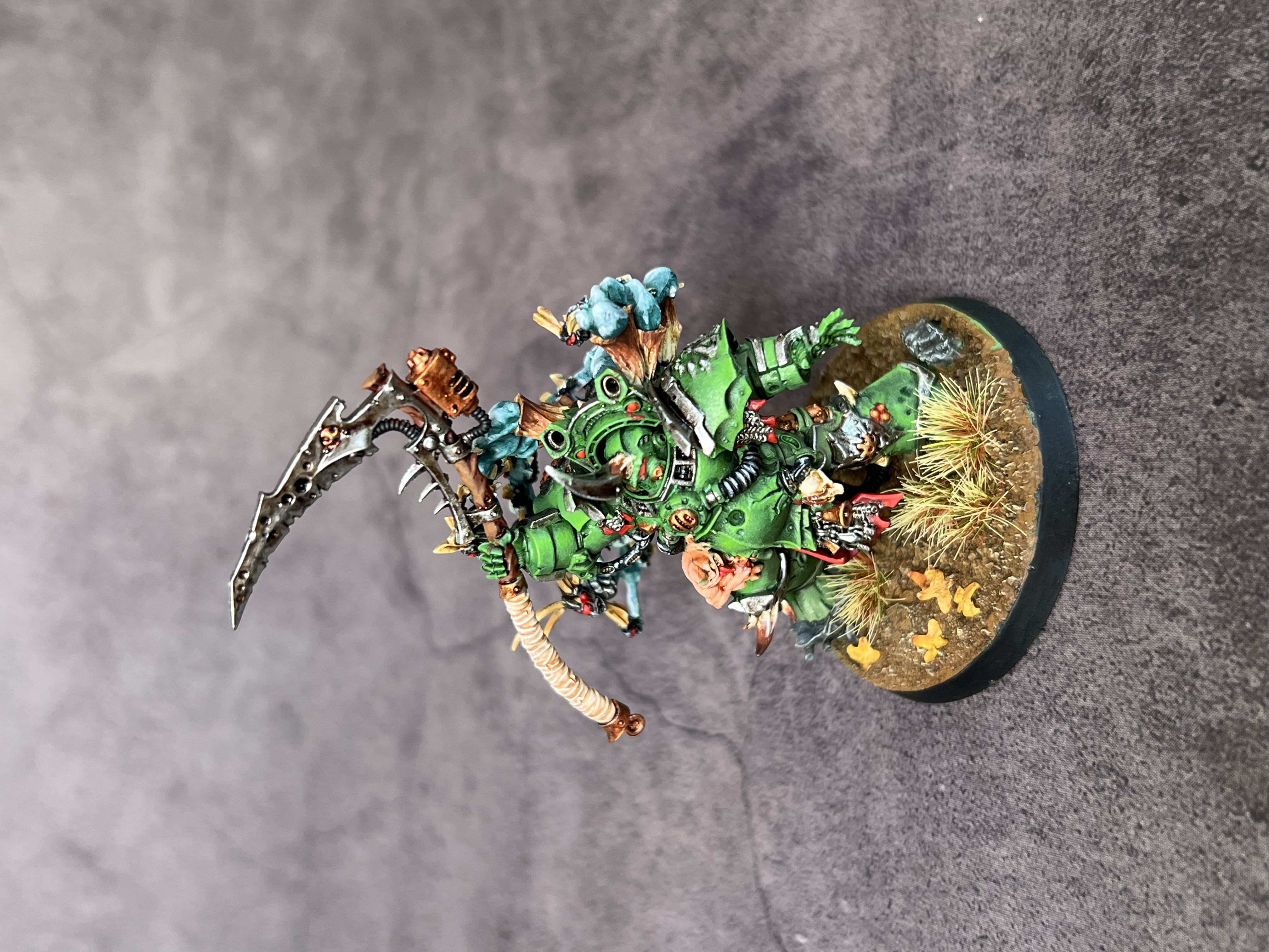 Typhus - Image 8